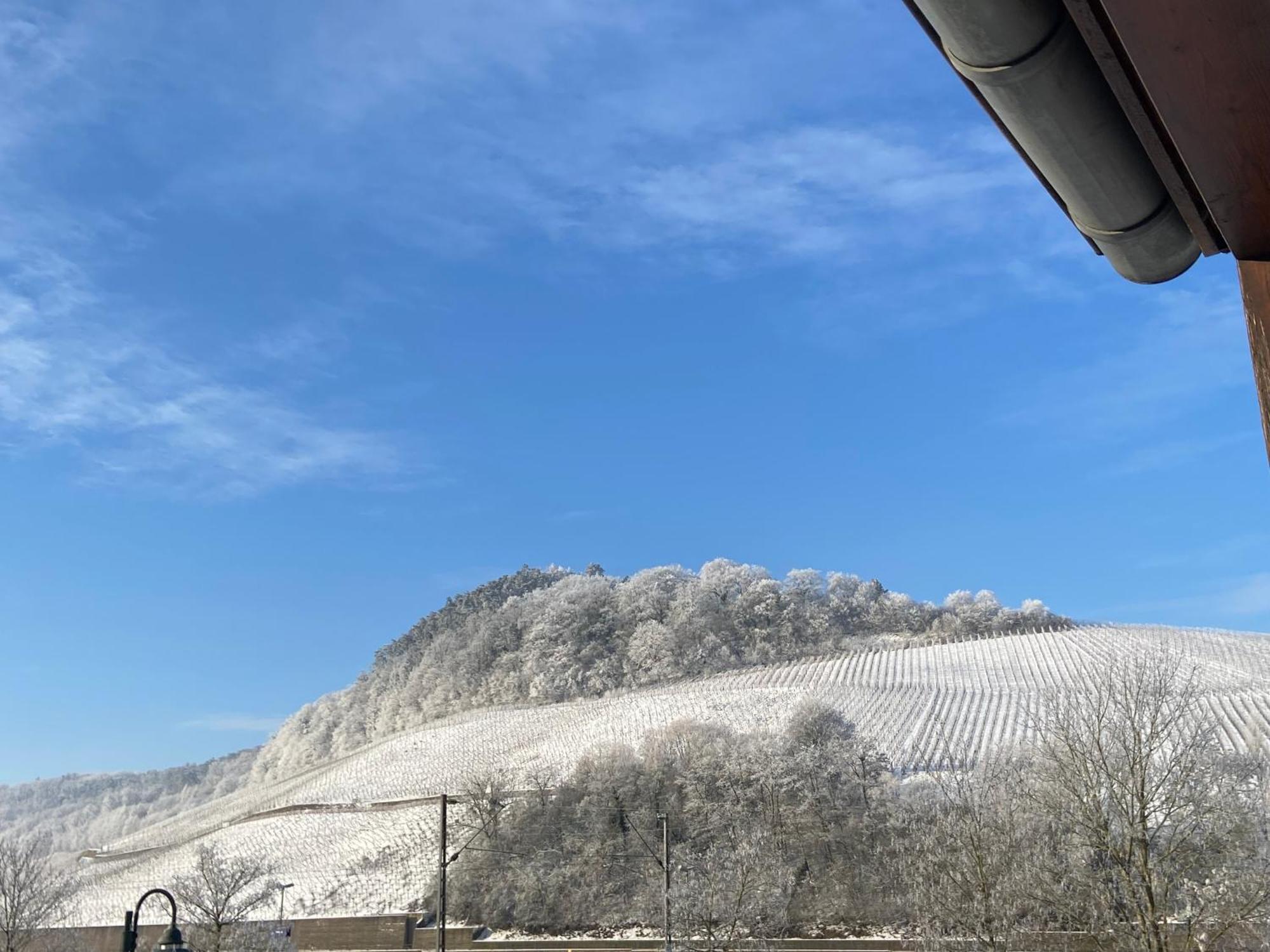 Готель Gastehaus Und Weingut Bernd Frieden Ніттел Екстер'єр фото