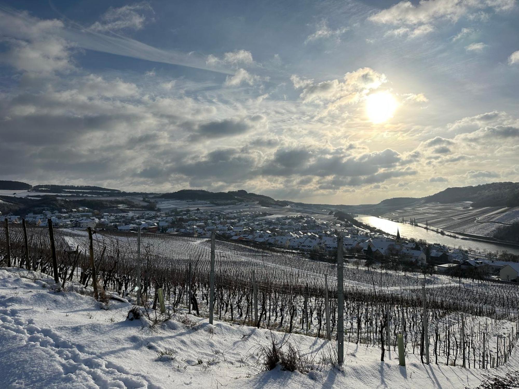 Готель Gastehaus Und Weingut Bernd Frieden Ніттел Екстер'єр фото