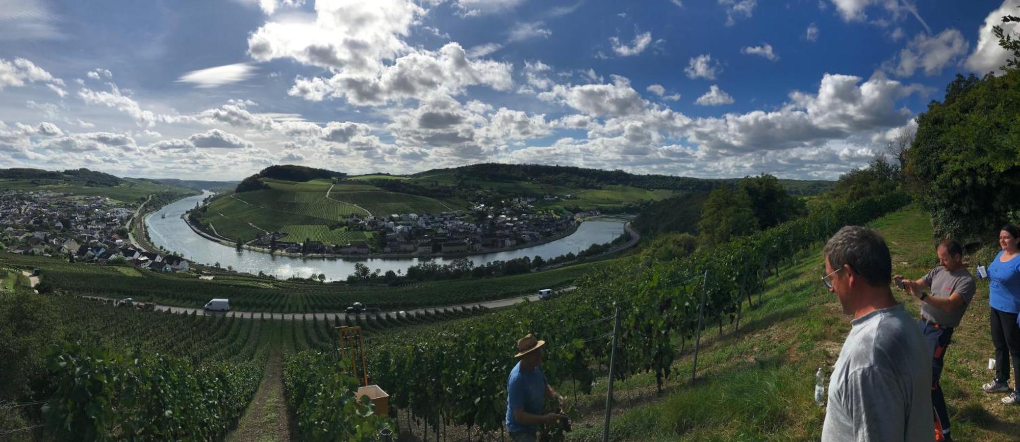 Готель Gastehaus Und Weingut Bernd Frieden Ніттел Екстер'єр фото