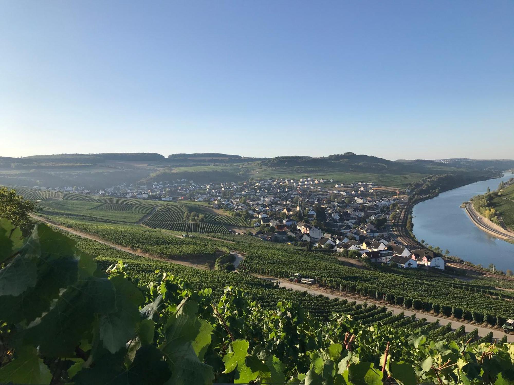 Готель Gastehaus Und Weingut Bernd Frieden Ніттел Екстер'єр фото