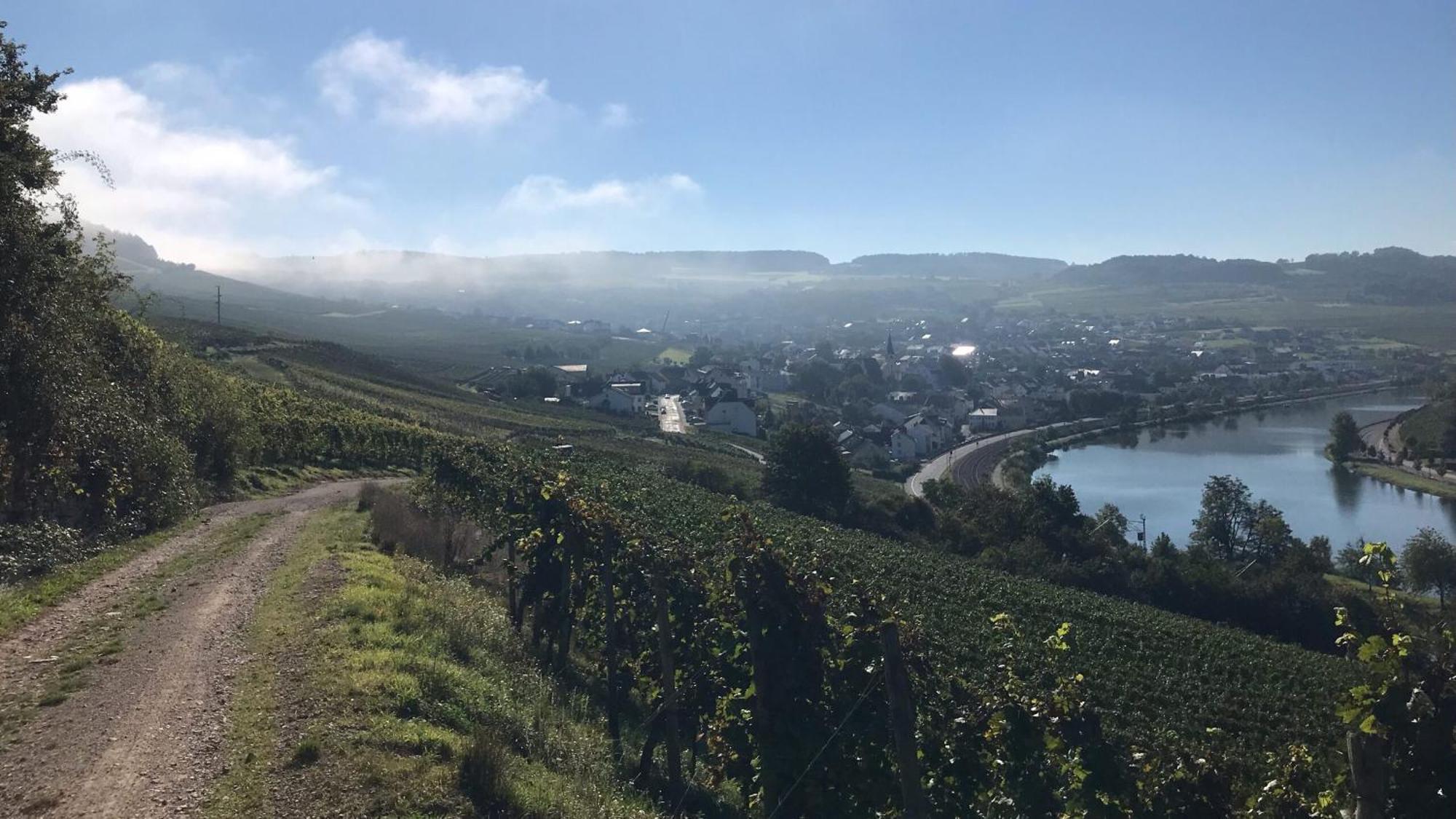 Готель Gastehaus Und Weingut Bernd Frieden Ніттел Екстер'єр фото