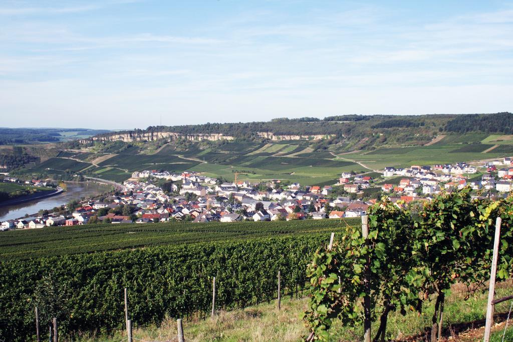 Готель Gastehaus Und Weingut Bernd Frieden Ніттел Екстер'єр фото